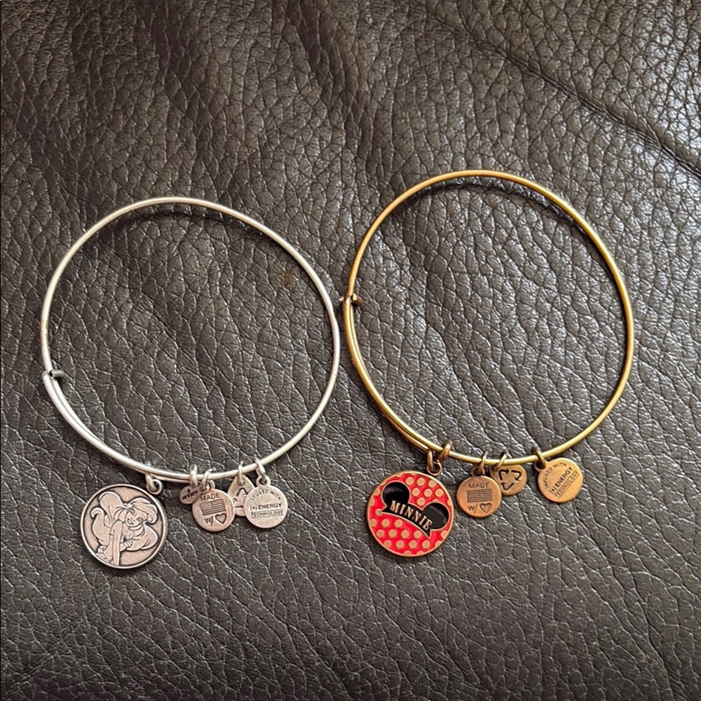 Alex and ani Disney charm bracelet set